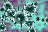 Памятка о профилактике гриппа, ОРВИ, вирусов и коронавируса