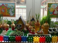«Огород на подоконнике» в детском саду